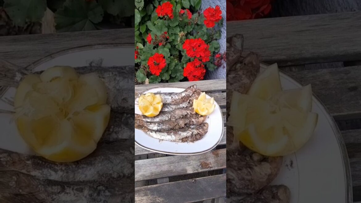 Marokkanische Sardinien auf dem Grill السردين مشوي على الفحم