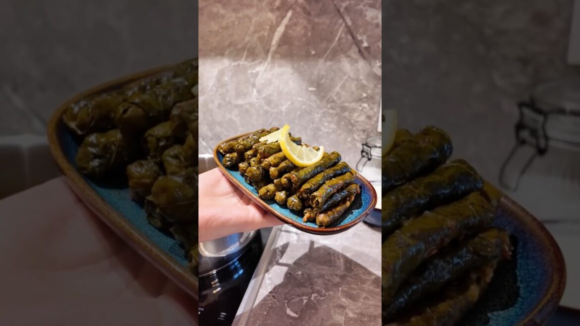 Zeytinyağlı Sarma | Gefüllte Weinblätter #shorts