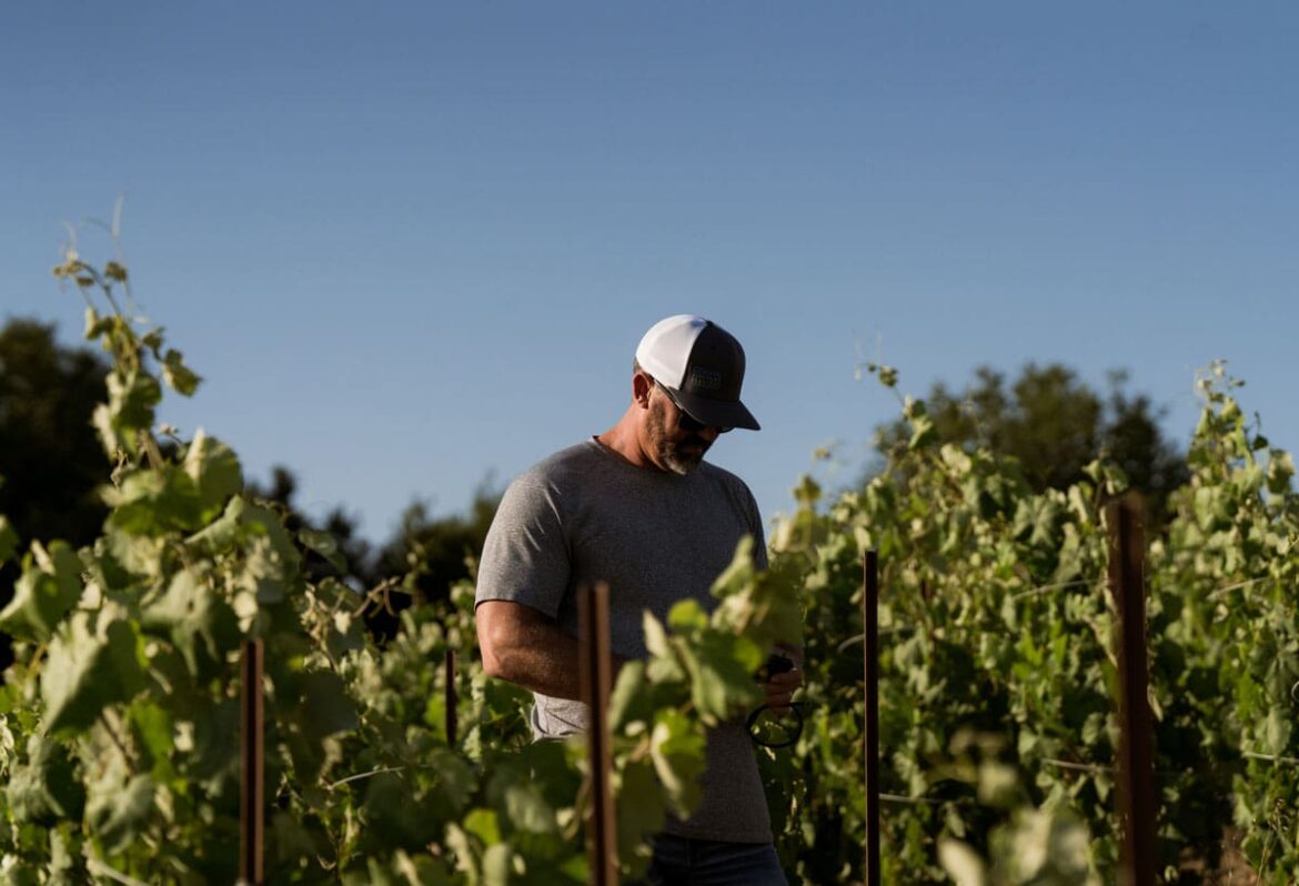 Viticulturist Kevin Wilkinson Unveils Alterra Solutions, Elevating Vineyard Management Across California