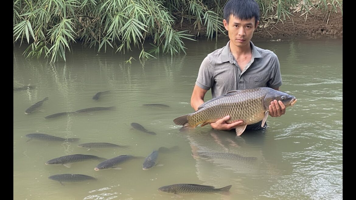 Rural life: Kha builds a vegetable garden and grills giant fish.