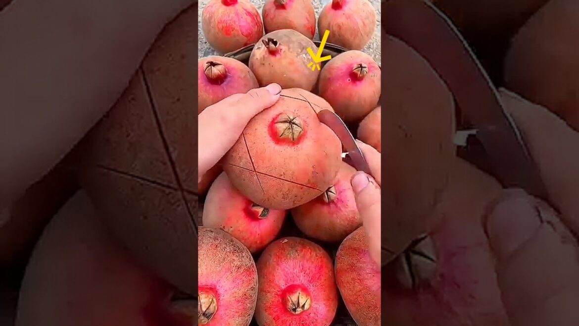 This is how a pomegranate seed comes out #shortvideo This is how a pomegranate seed comes out #shortvideo