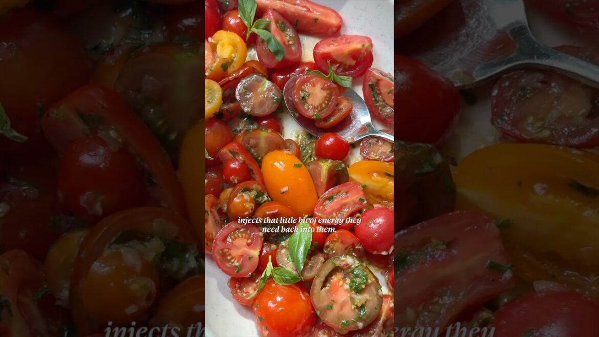 the best best best tomato salad - full recipe in What To Cook & When To Cook It ❤️ info in my bio!