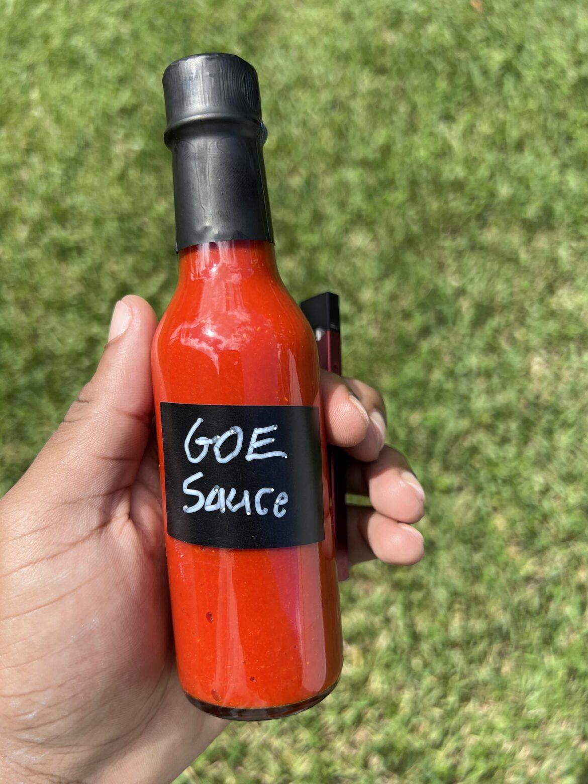 Made my fermented salsa again.