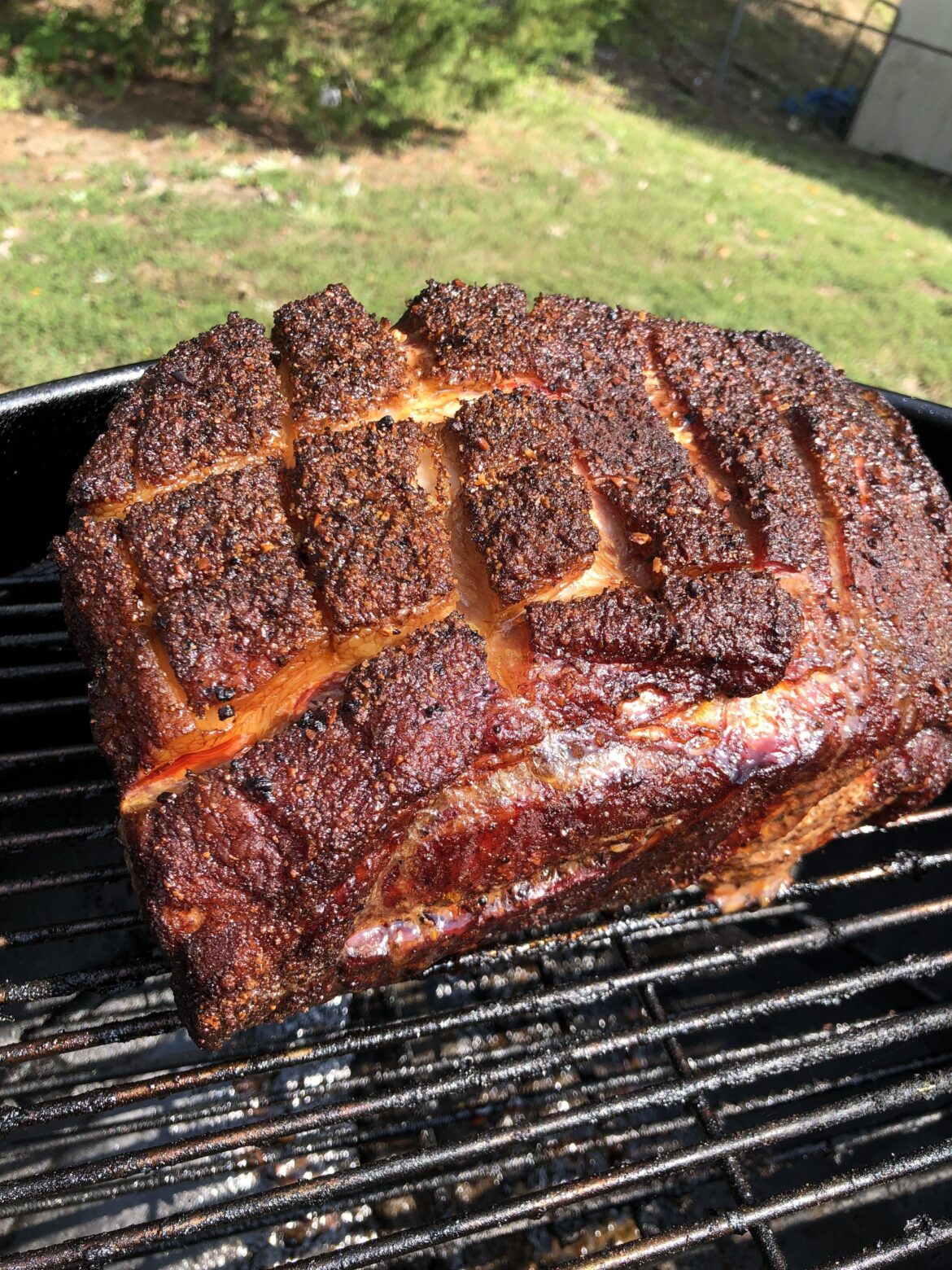 5 hours in…8lbs Boston butt @225-250° on my 22” kettle w/hickory. McCormick sweet and smoky rub.