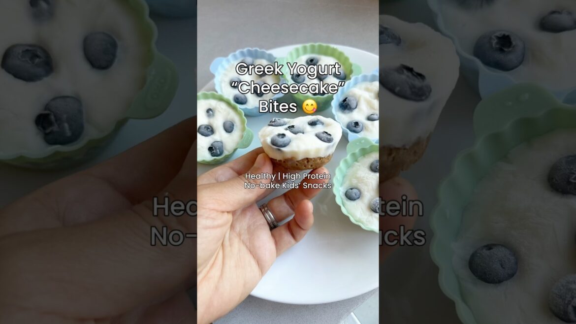 Greek Yogurt "Cheesecake" Bites | Easy, healthy, and high protein snack #kidssnacks #healthykids