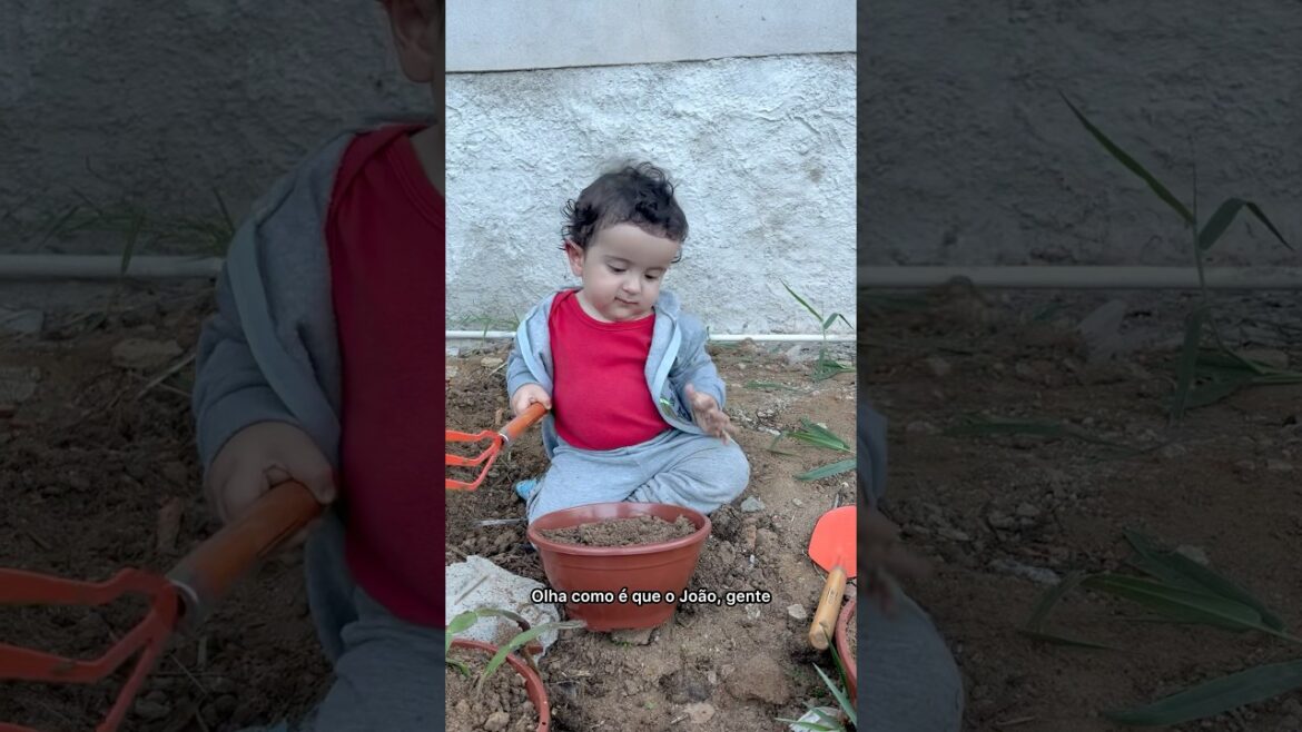 Dia de horta #vidanaroça #horta