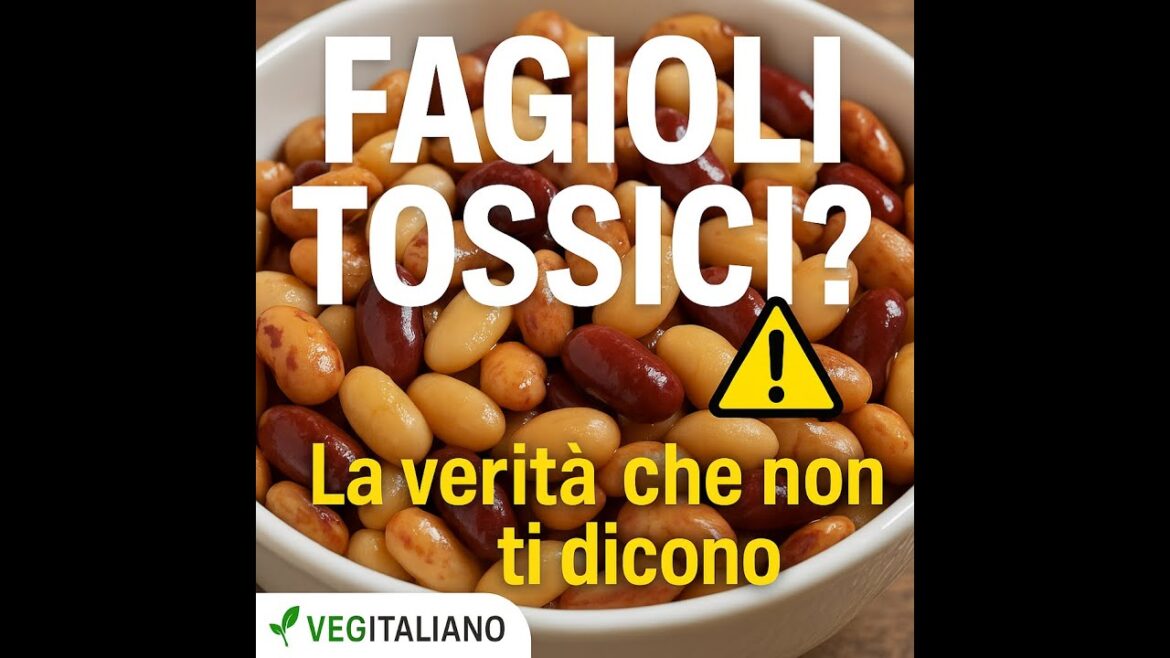 I fagioli sono tossici? La verità che non ti dicono