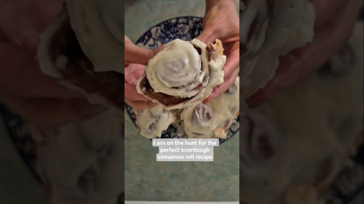 Looking for the best cinnamon roll sourdough recipe #cinnamon #cinnamoroll #sourdough #recipe