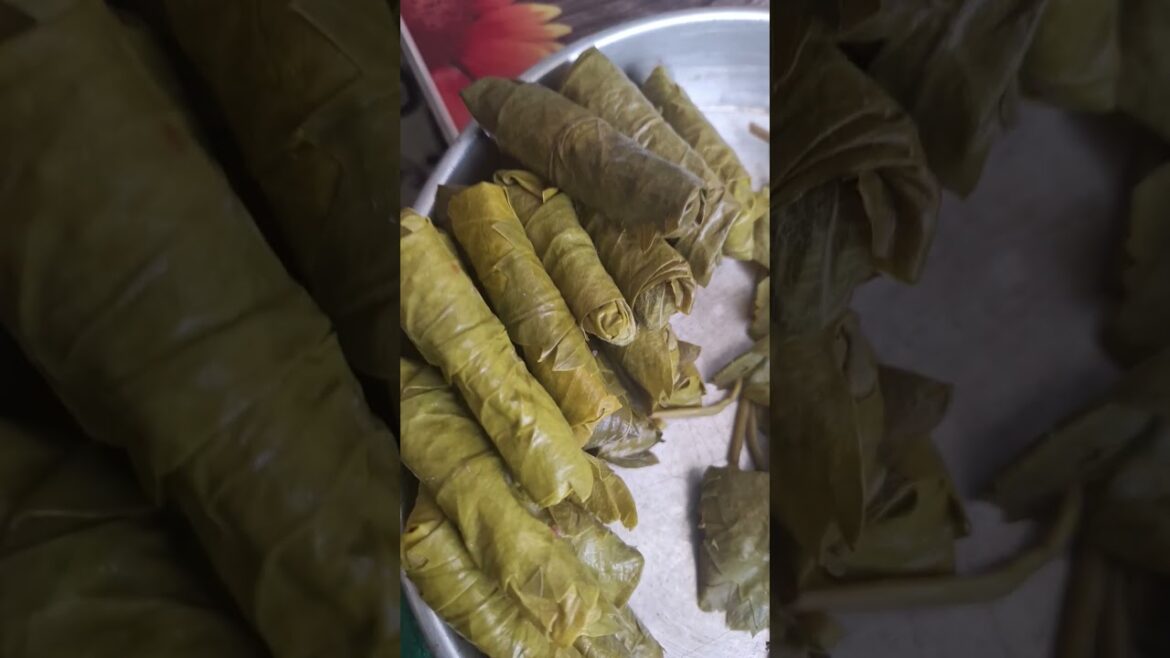 Zeytinyağlı yaprak sarması etli yaprak sarması Ege Mutfağı Doğu Mutfağı Batı mutfağı Güneydoğumutfak