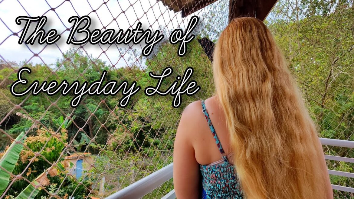 The Beauty of Everyday Life | Traditional Brazilian Brigadeiro, DIY and Gardening