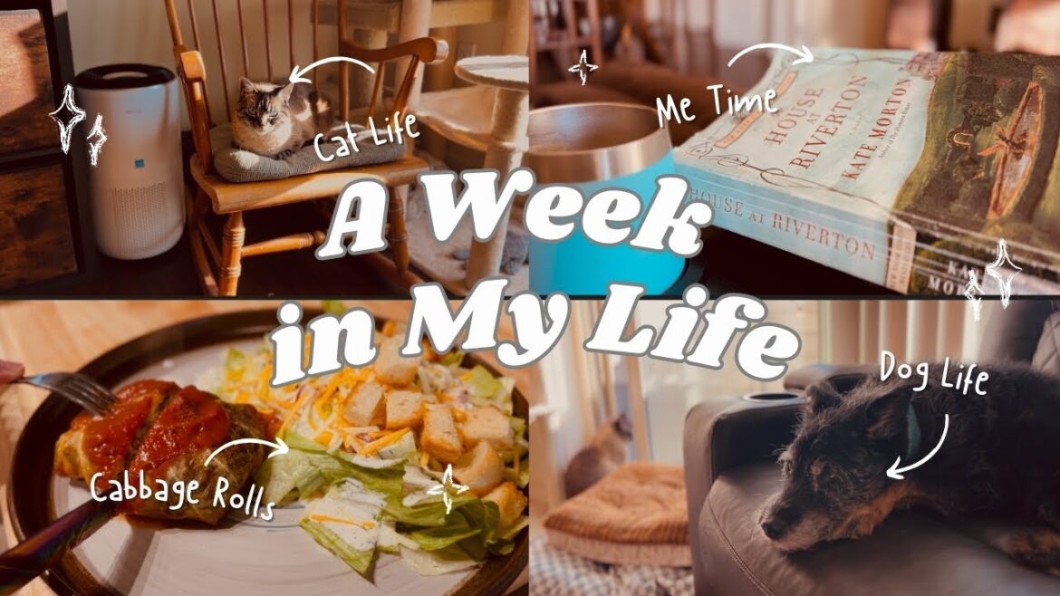A Week in My Life | Cooking Cabbage Rolls | Cozy desert fall rain | Slow Life A Week in My Life | Cooking Cabbage Rolls | Cozy desert fall rain | Slow Life
