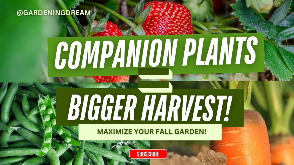 Companion Planting for Fall Vegetables: Maximize Your Autumn Garden