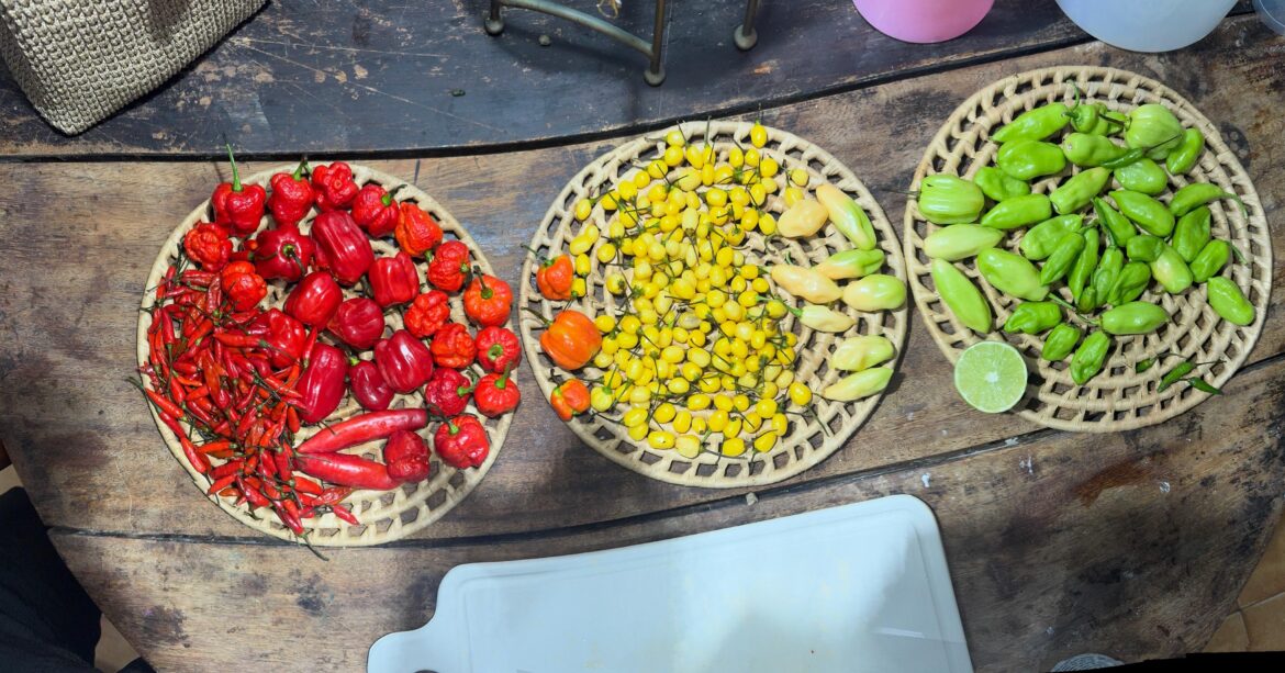 Brasilian Big Mac Sauce Brasilian Big Mac Sauce