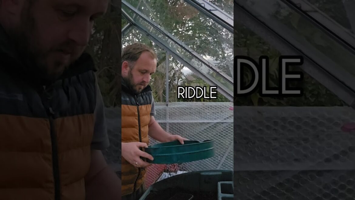 Toughball Onions Sowings are away..#oniongrowing #growingonions #vegetablegardening #vegetablegarden