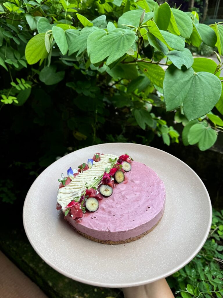 Everything I made at The Vegan School in Goa!