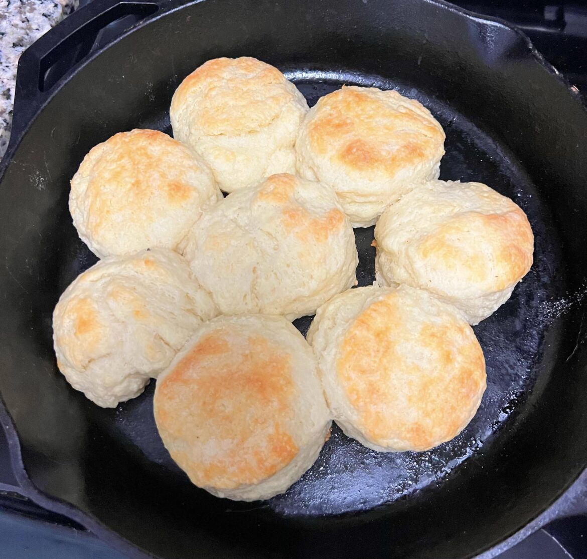 Stella’s Yogurt Biscuits