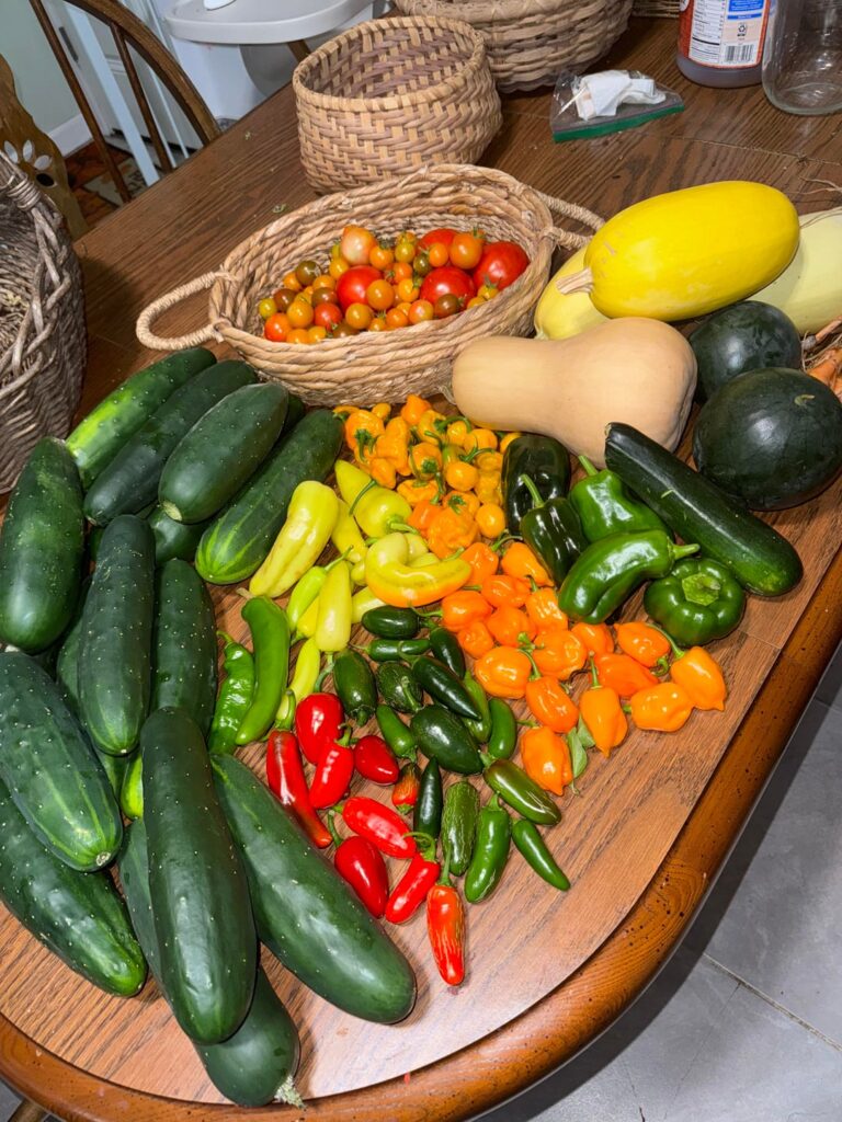Likely our last big(ish) harvest for the summer