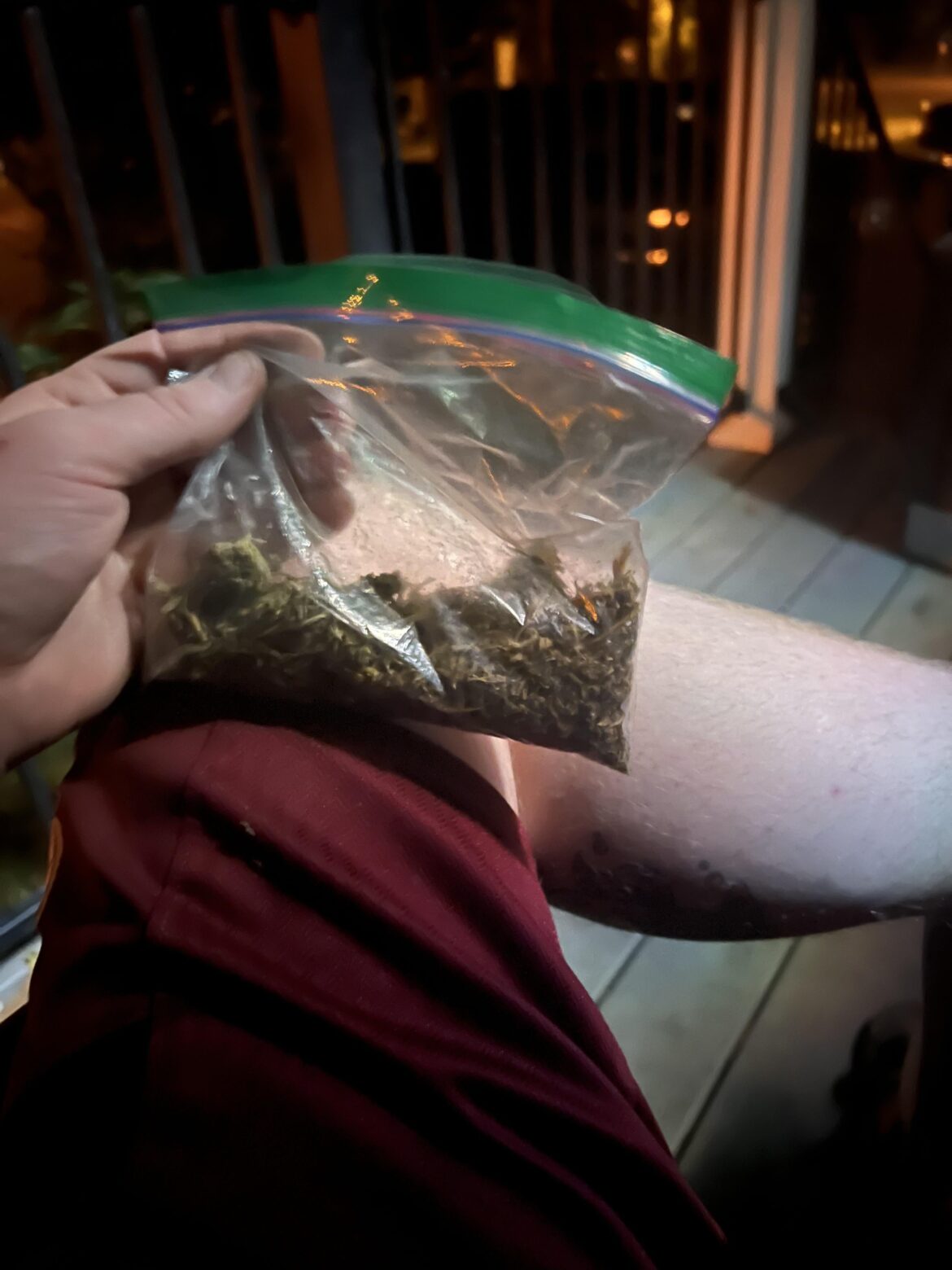 Let’s talk about our favorite regulars