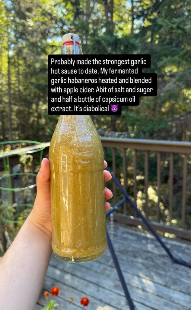 Spicy garlic hot sauce. Spicy garlic hot sauce.