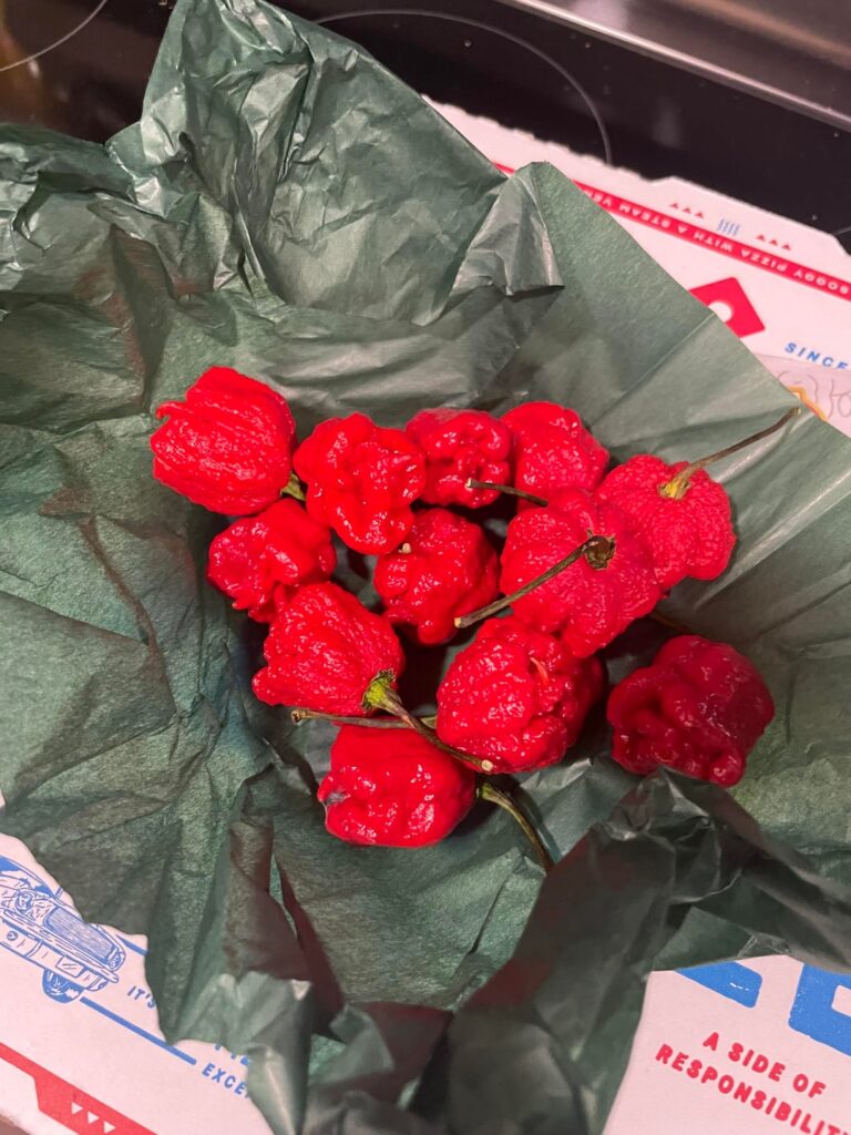 First Reapers
