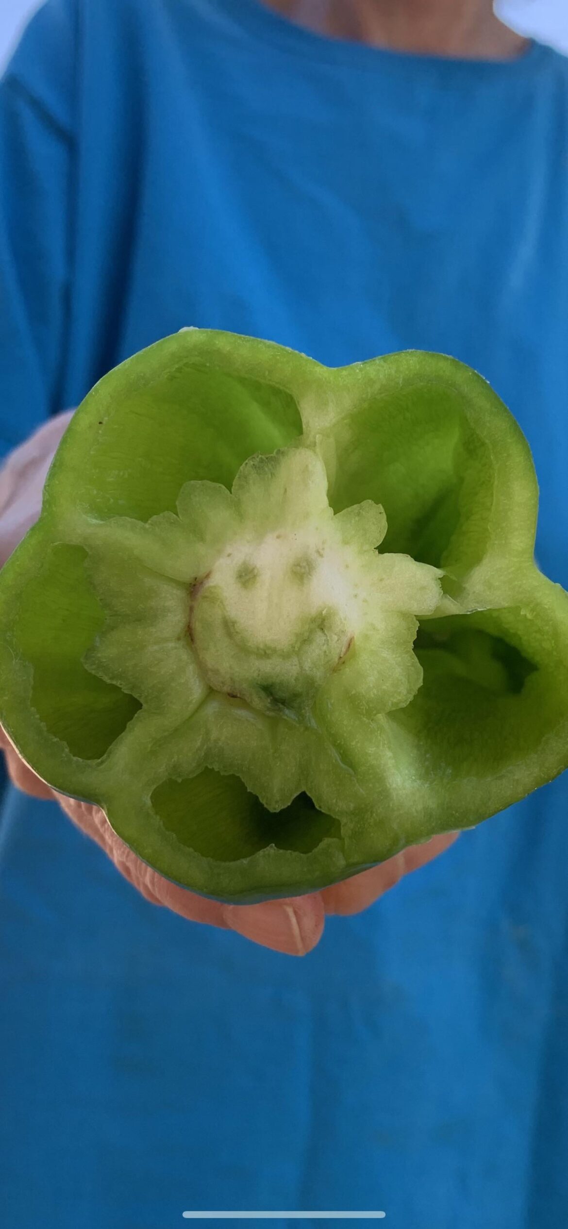 Happy Bell Pepper