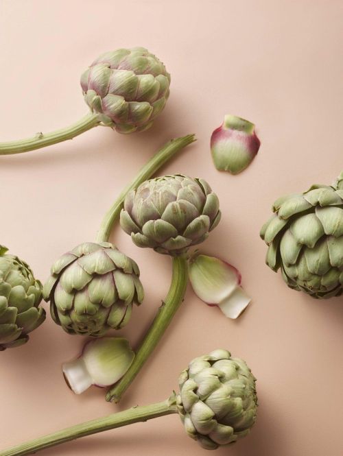 For Health Management... Focus on Dietary Supplement Ingredients like the Mediterranean Wonder 'Artichoke'