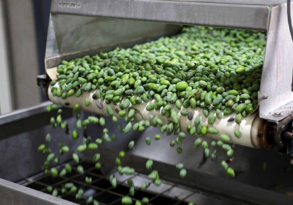 Superfood in Every Bite: 4 Easy Recipes for Wellness and Balance