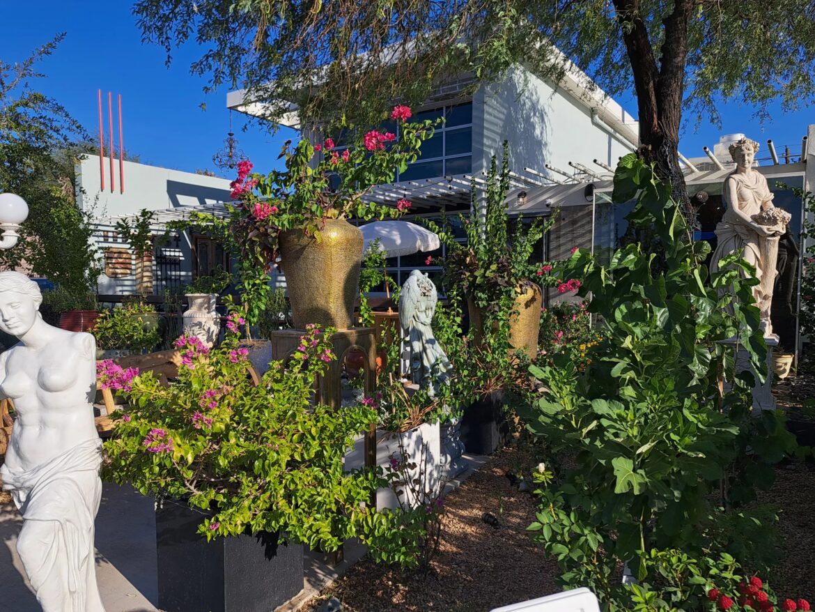 New Mediterranean restaurant Urban Fraiche opens in uptown Phoenix