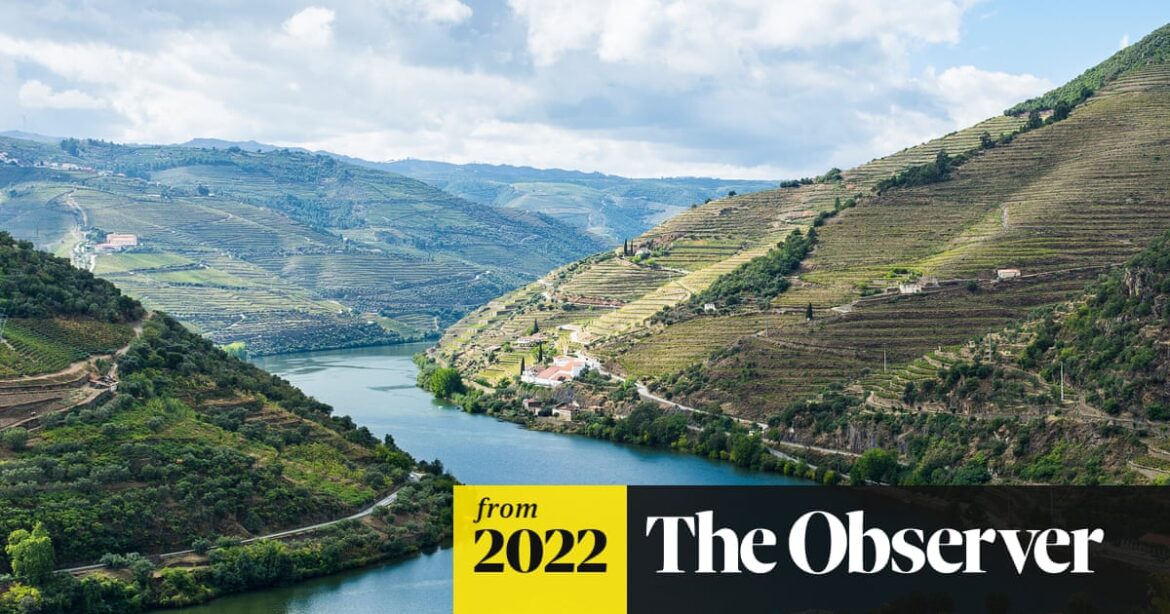 Portuguese wines to lift the spirits | Wine