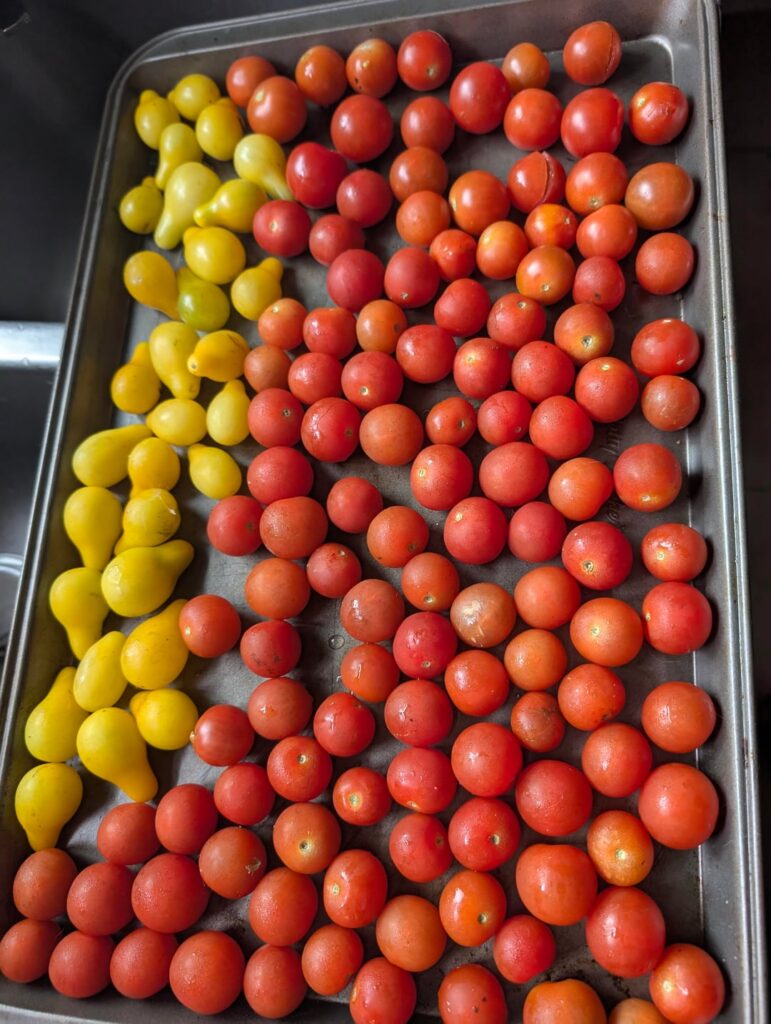 Made sauce for the first time from my cherry tomatoes!