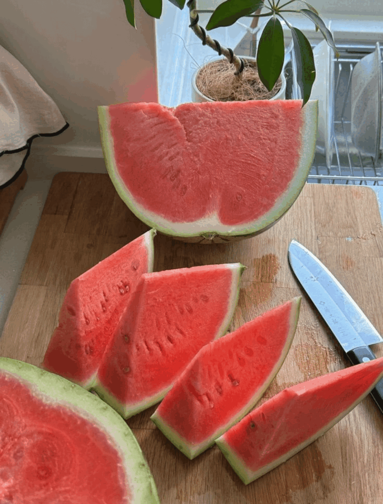 No cooking just eating watermelon!