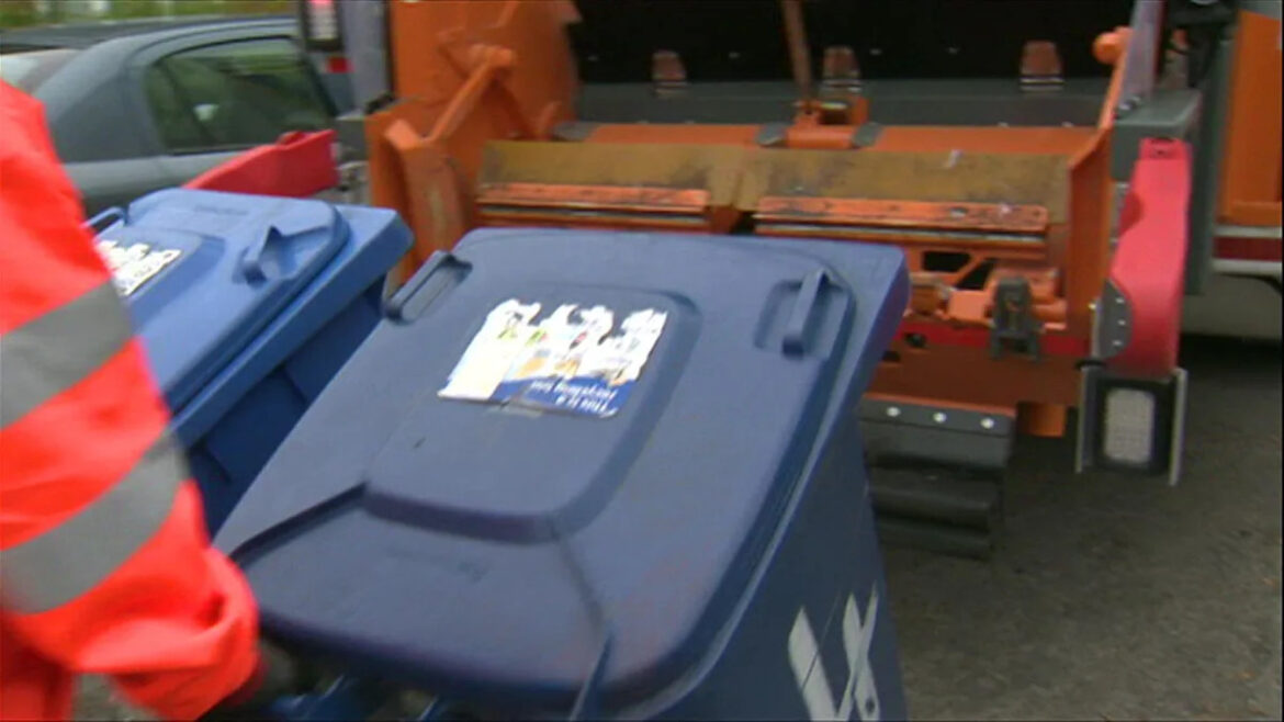 Bin lorries to be fuelled by Italian cooking oil