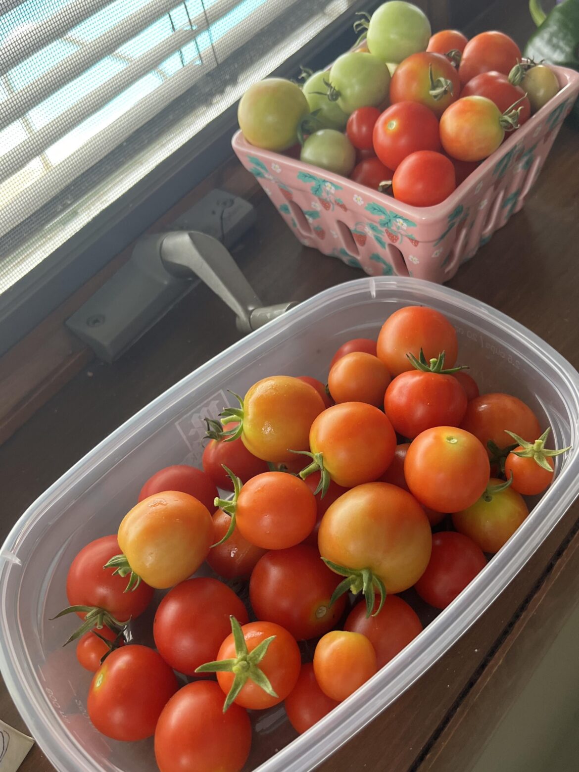 just wanted to show off my beautiful cherry tomatoes