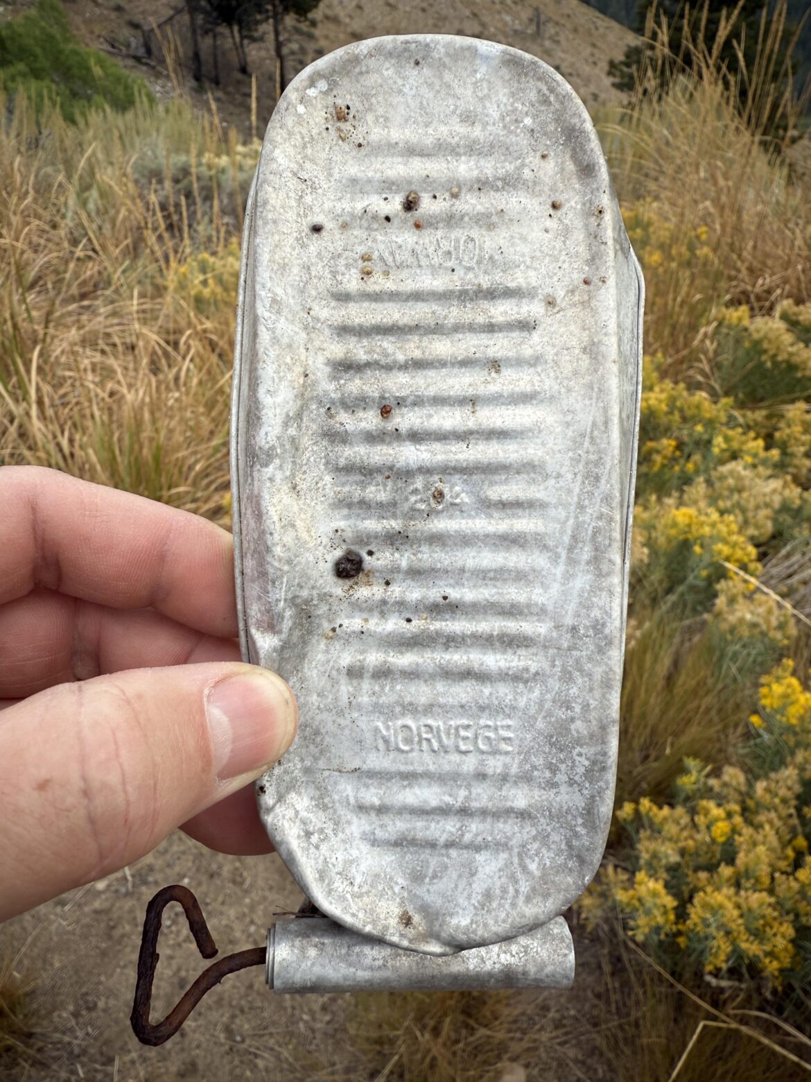 Found near an abandoned mine in S-central Idaho