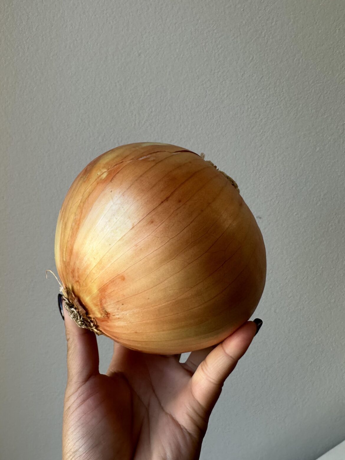 I got this 2.5 lb onion at the farmers market yesterday!! I had to have it! Now what to do w/ it??