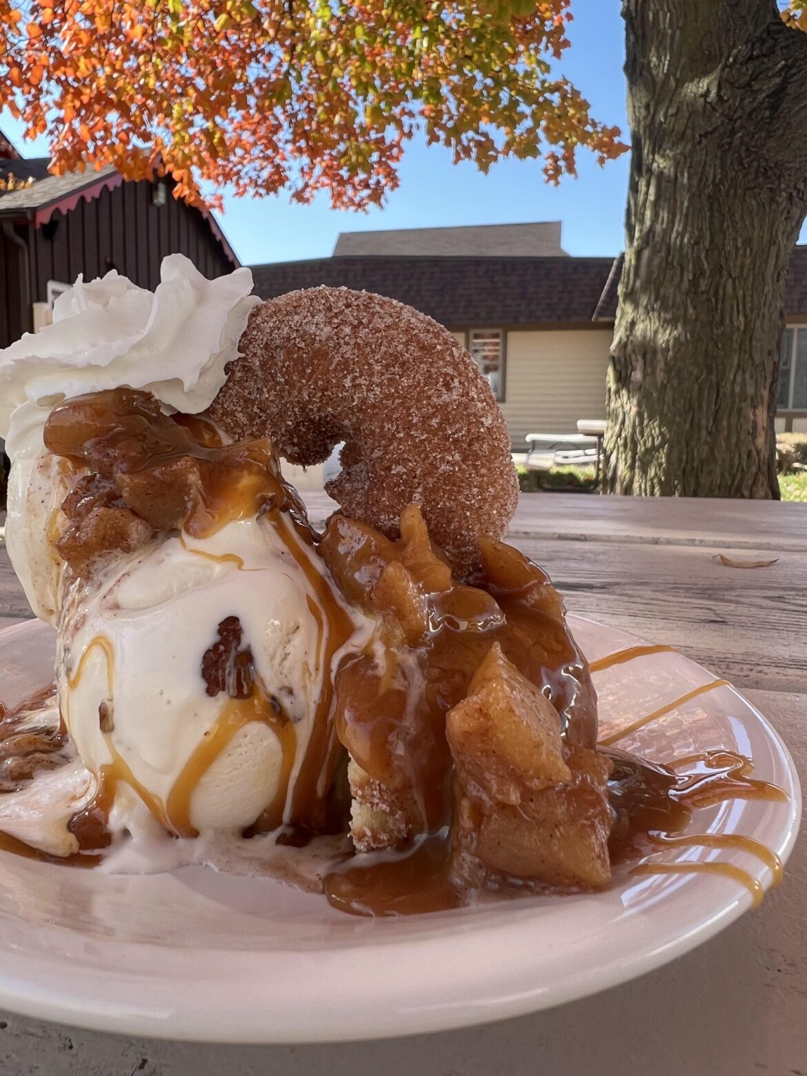 Apple Cider Donut Caramel Apple sundae
