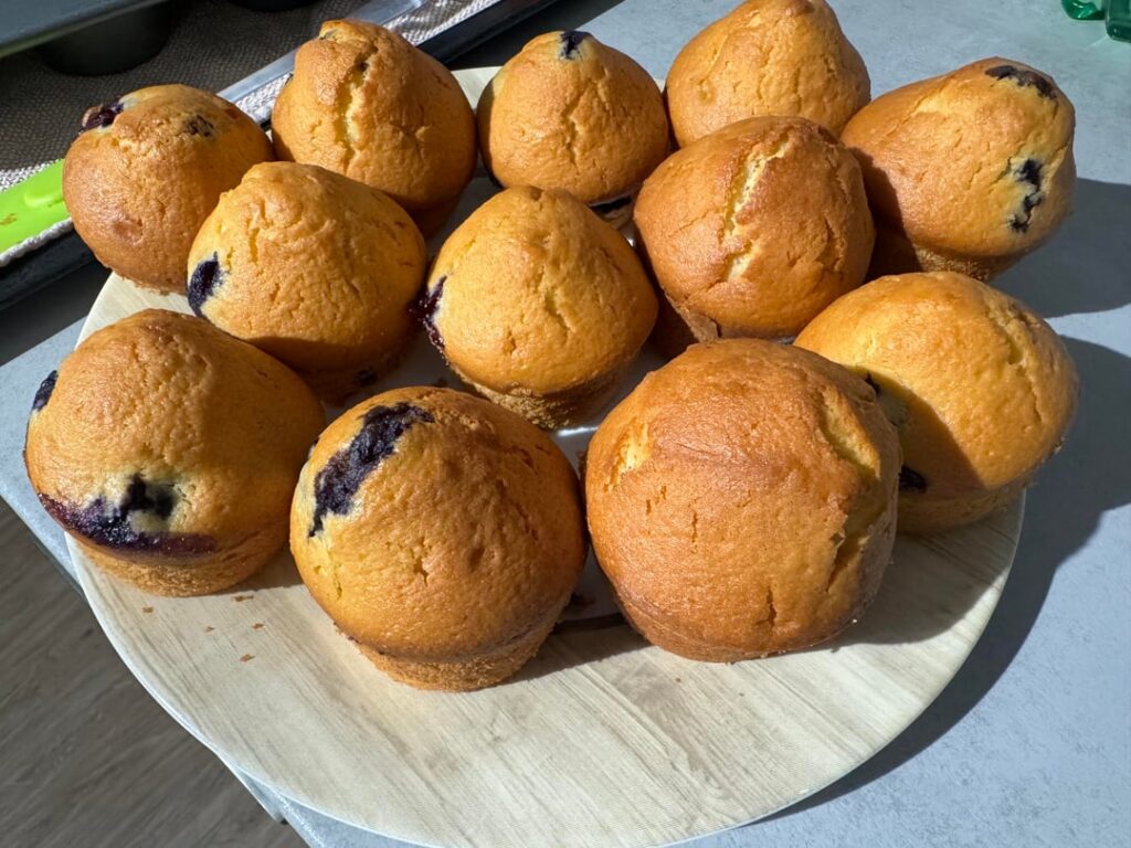 Fresh blueberry muffins – just a little extra with my morning coffee ☕🫐 What’s your favorite coffee pairing?