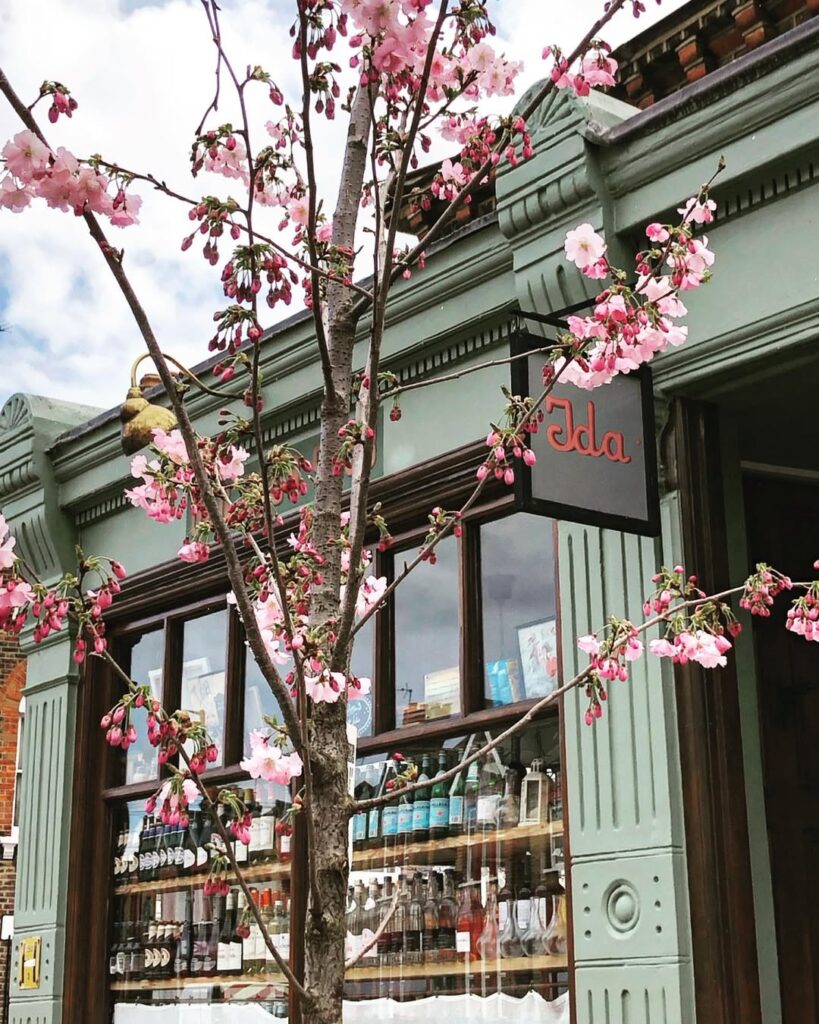 To eat: Ida’s recipe for lentils with sugo To eat: Ida's recipe for lentils with sugo