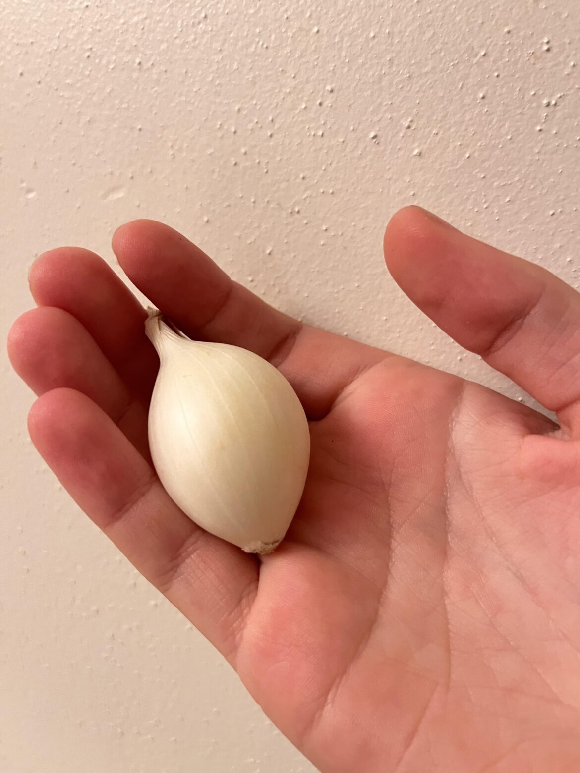 Can one of these make tomato