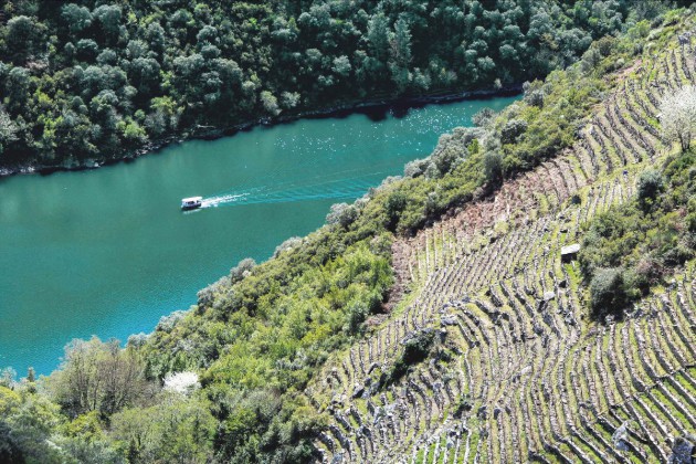 Liberty portfolio expands with Tenerife and Ribeira Sacra additions Liberty portfolio expands with Tenerife and Ribeira Sacra additions