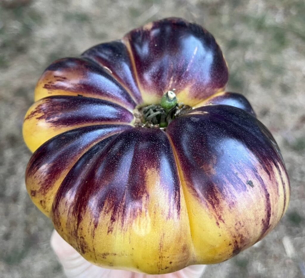 I was gifted this beauty today