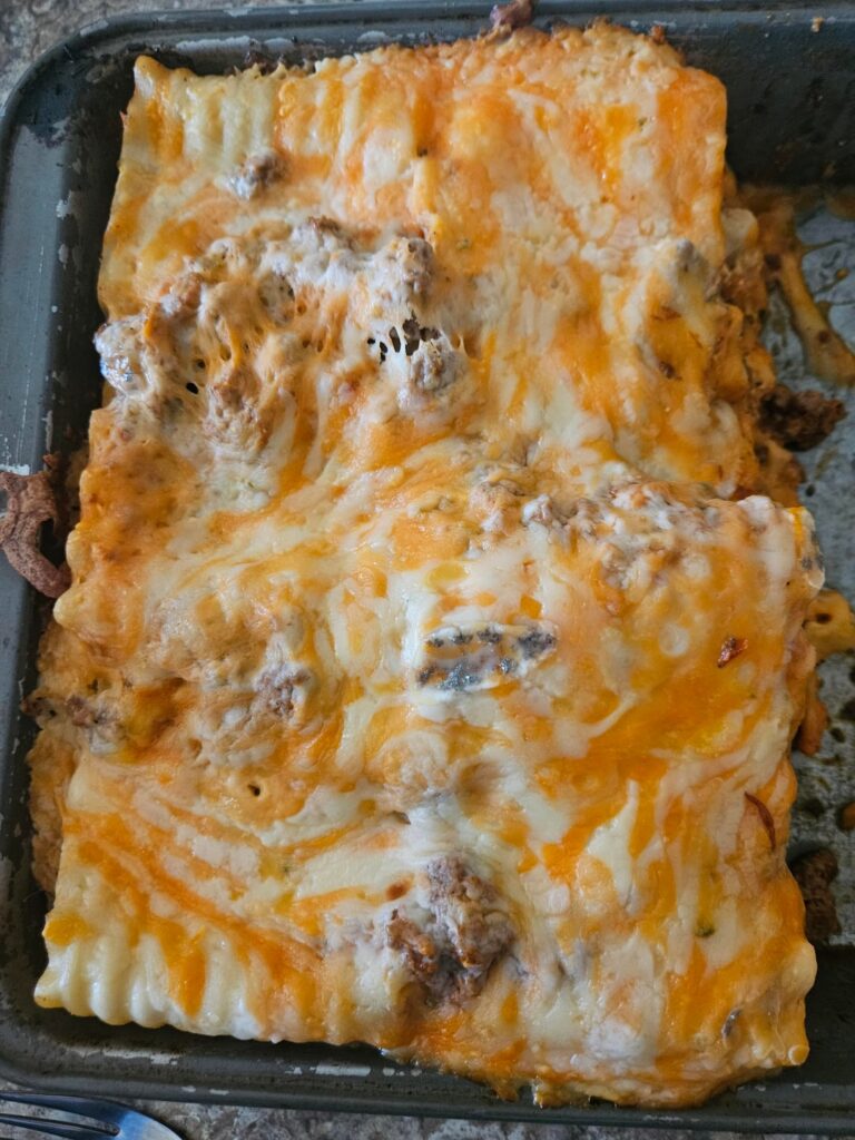 Freezer Cooking for my 82 yr old Dad - Part 4