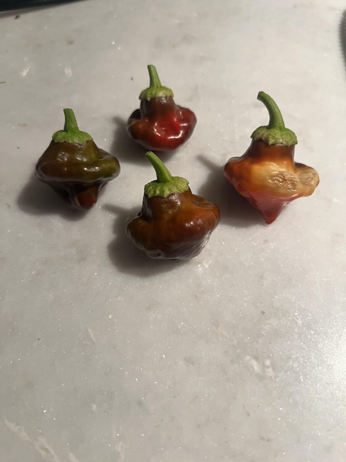 Scotch Bonnets