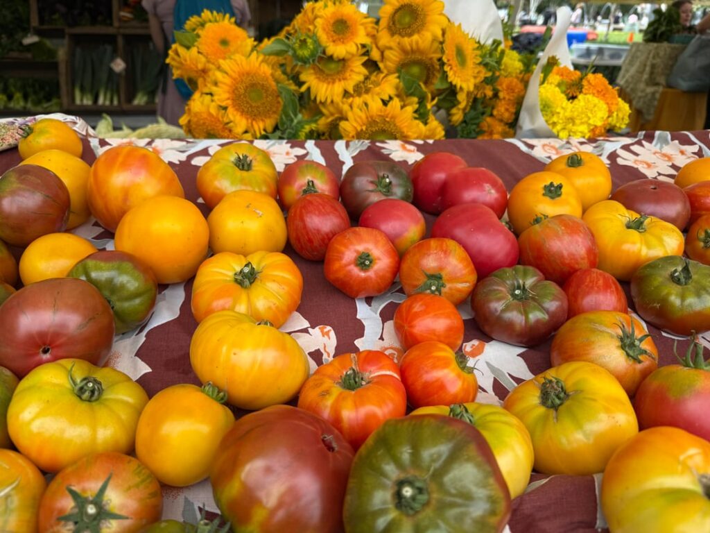 I’m so excited !!!!!