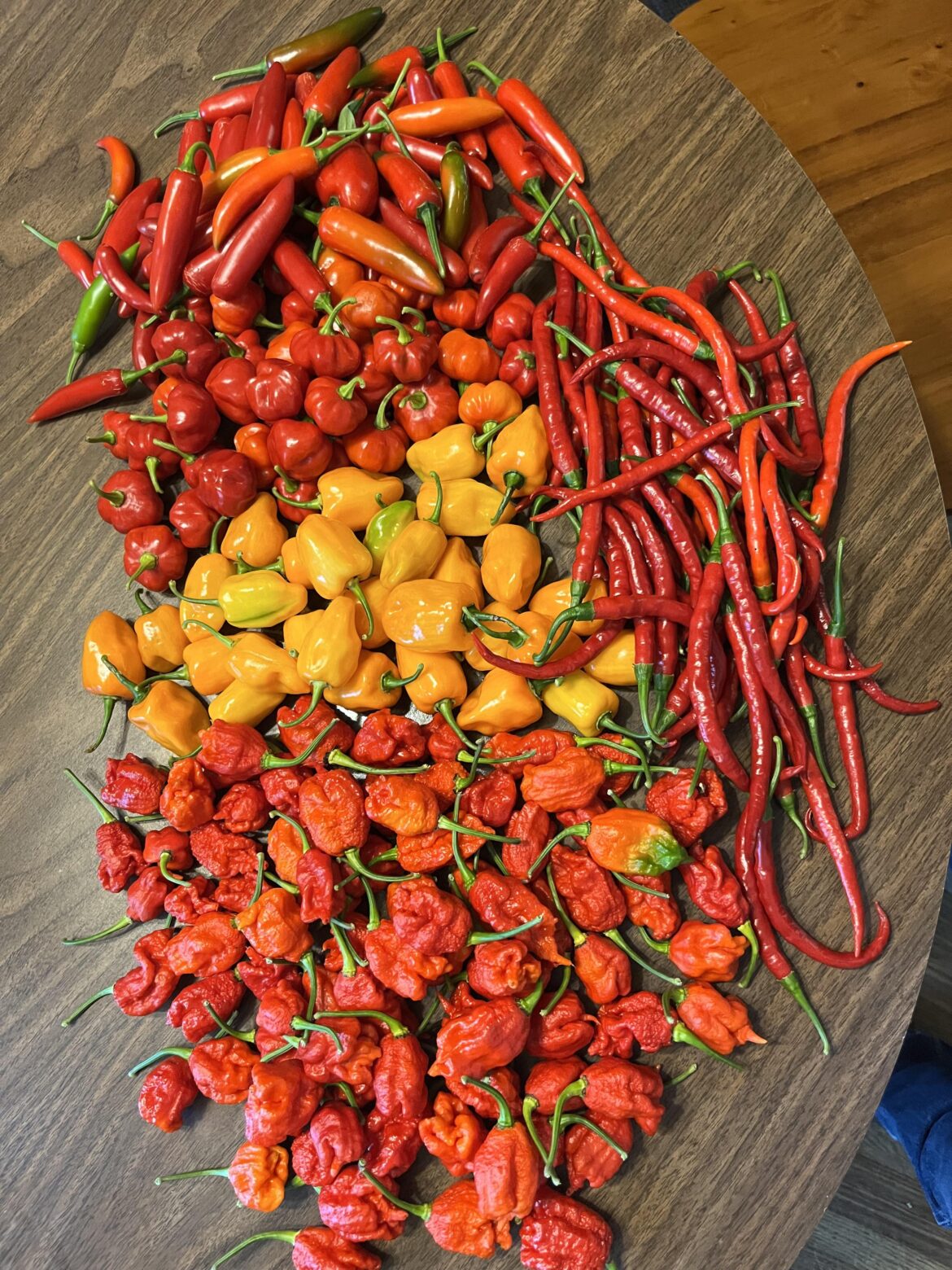 Wtf am I going to do with all these lmao🔥🔥