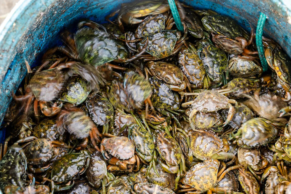 Yahoo lifestyle home