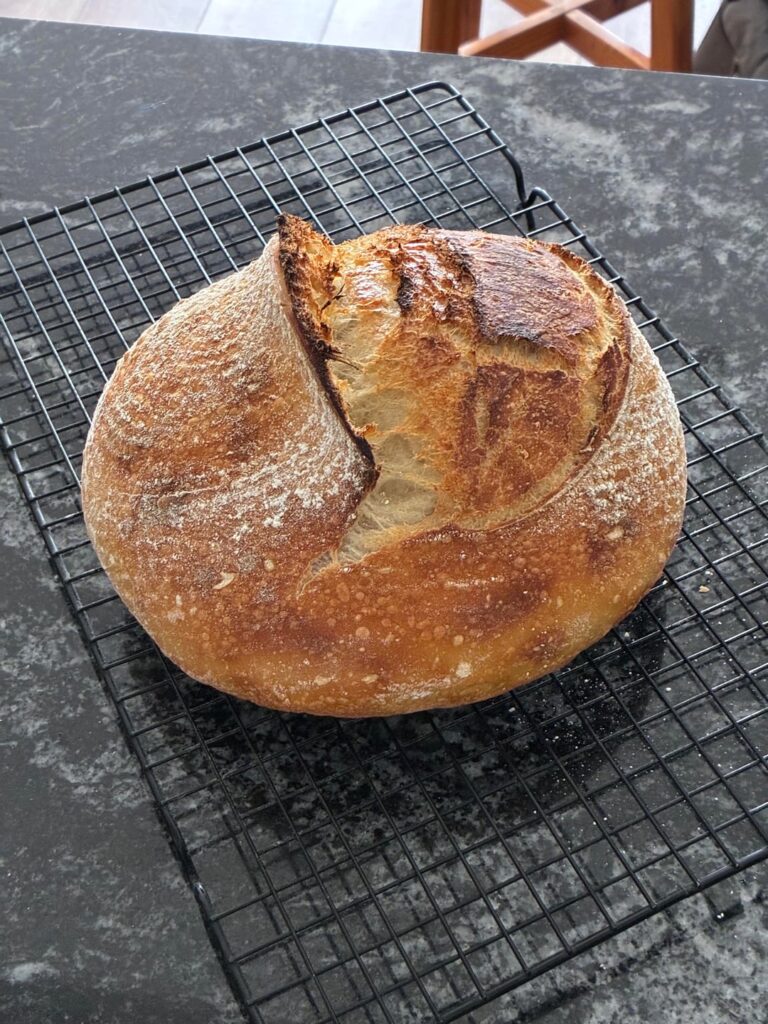 Bought a banneton, tried oven off, and got my first ear!