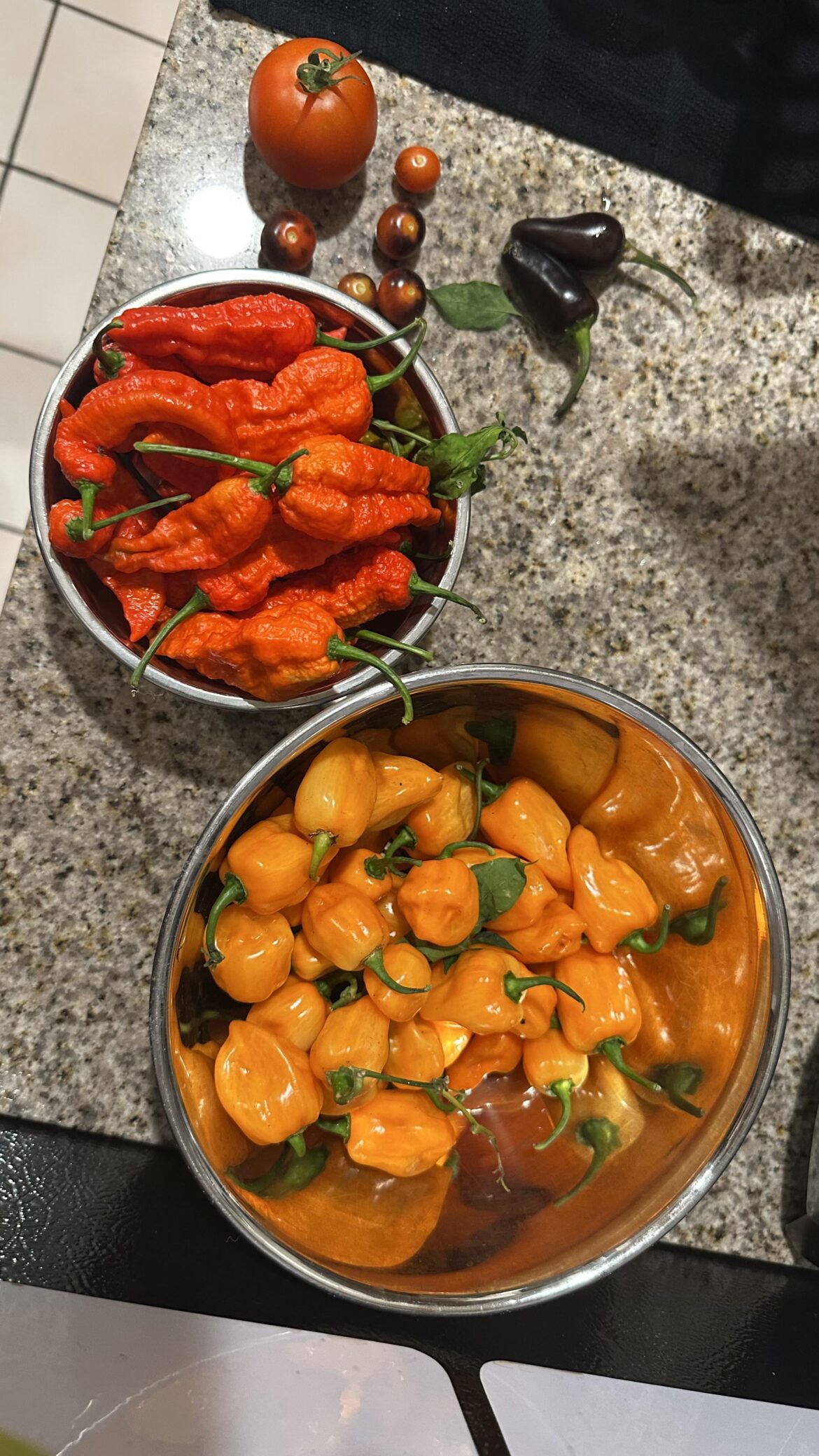 Bounty of peppers from the garden.
