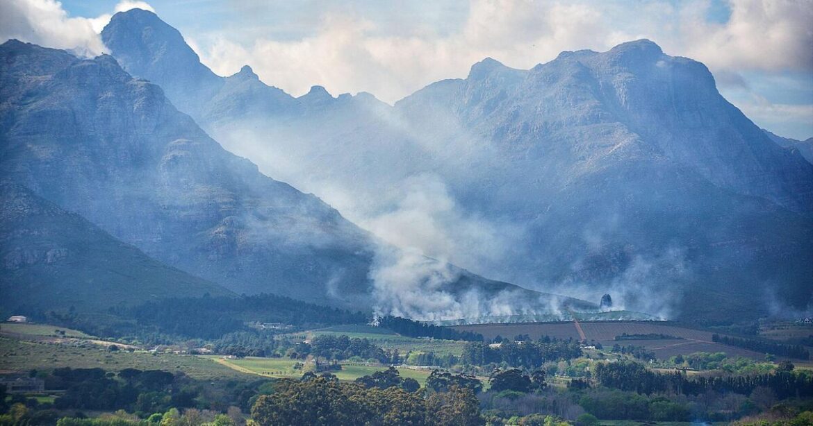 new wines amid the onslaught of vineyard fires new wines amid the onslaught of vineyard fires