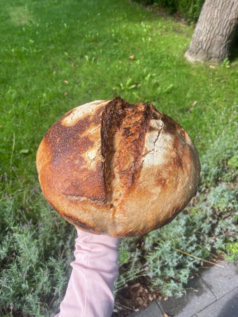 new loaf — status check